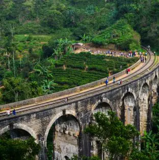 Train in Sri Lanka