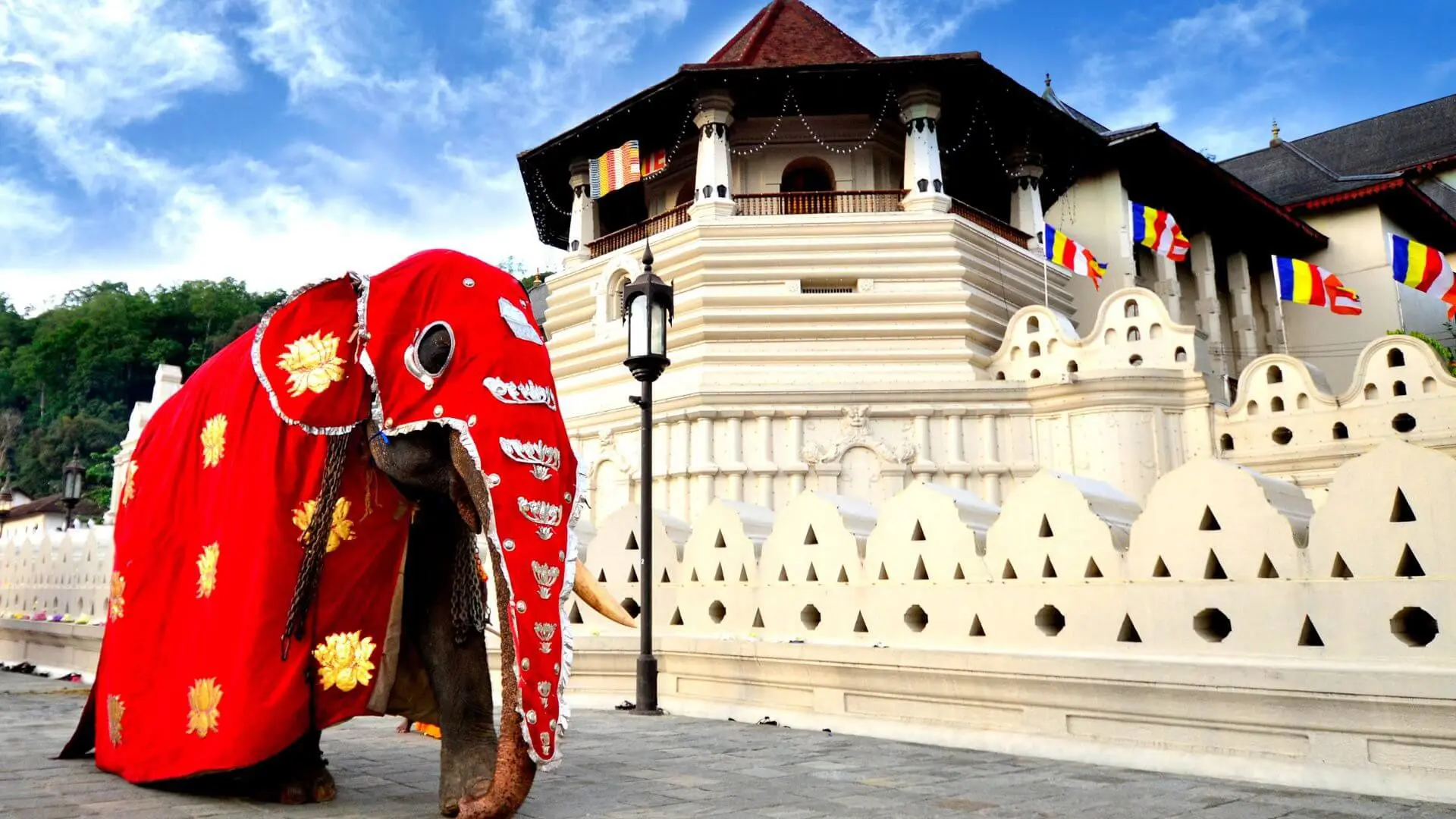 Discover Sri Lankaβs Cultural Wonders: Top Heritage Sites You Must Visit